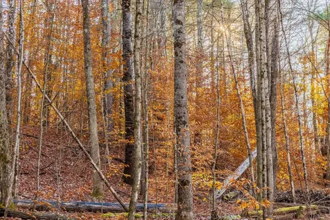 00 Meadow Lake Drive Mendon VT 05701