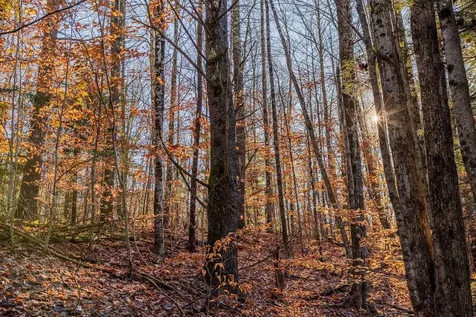 00 Meadow Lake Drive Mendon VT 05701