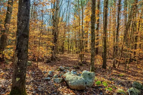 00 Meadow Lake Drive Mendon VT 05701