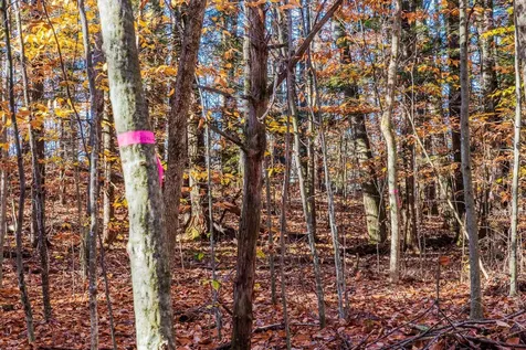 00 Meadow Lake Drive Mendon VT 05701