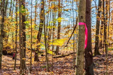 00 Meadow Lake Drive Mendon VT 05701