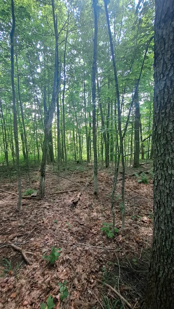 44 Antler Loop Dover VT 05356