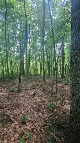 44 Antler Loop Dover VT 05356