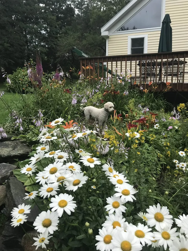 151 Town Farm Road Ludlow VT 05149