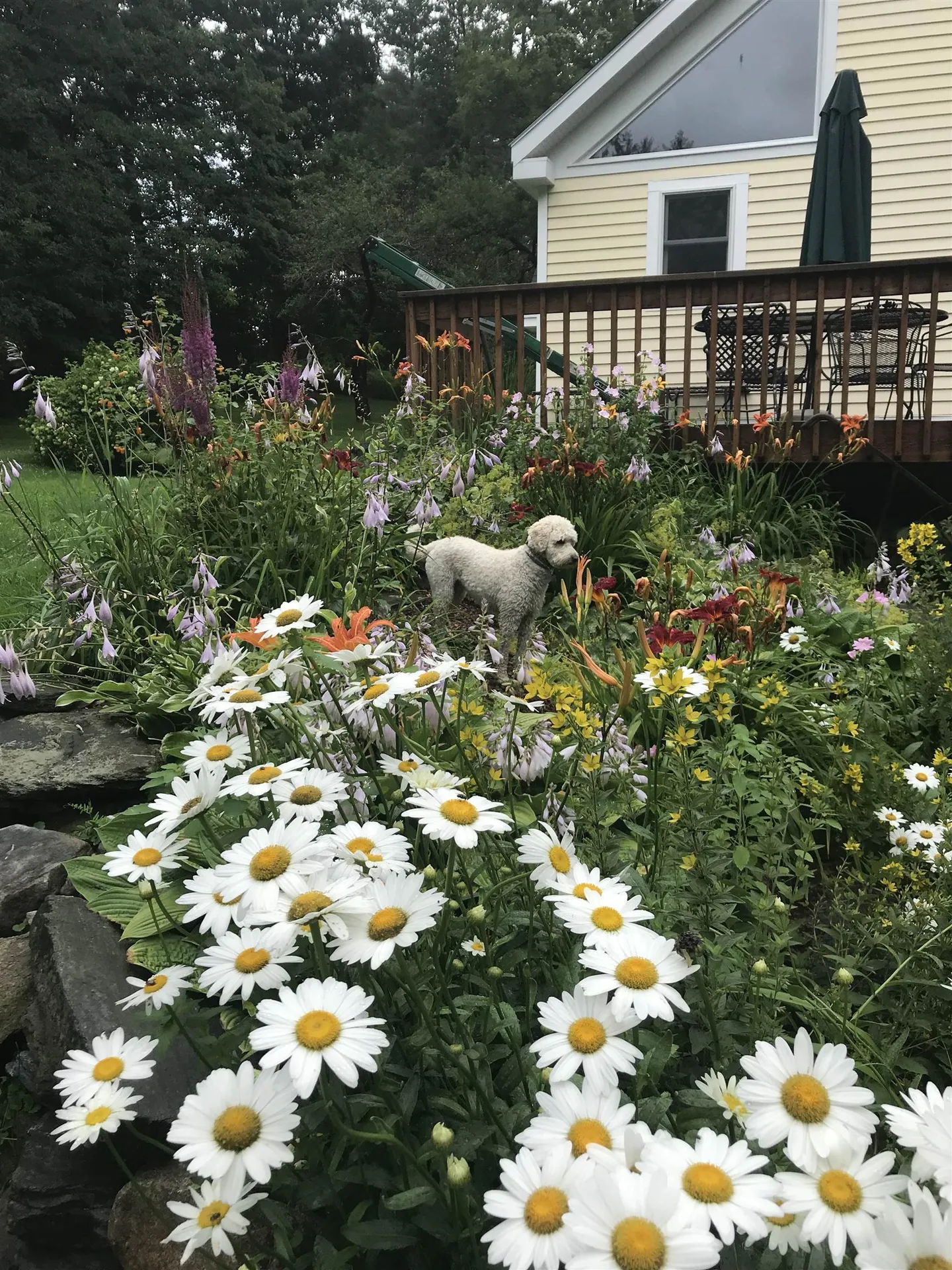 151 Town Farm Road Ludlow VT 05149