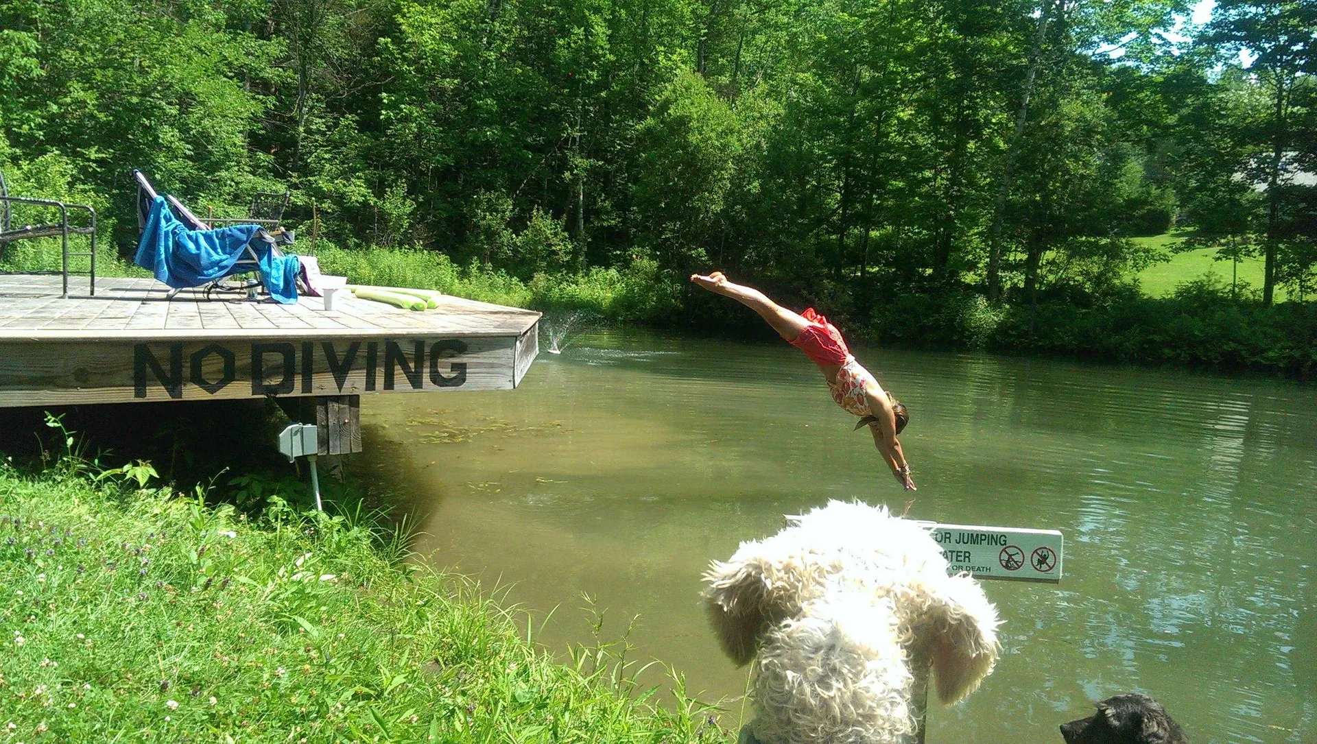 151 Town Farm Road Ludlow VT 05149