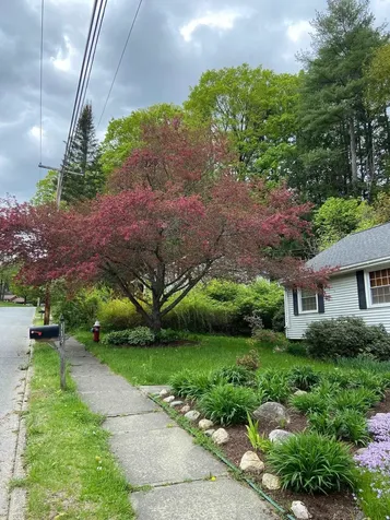 113 Stockwell Drive Brattleboro VT 05301