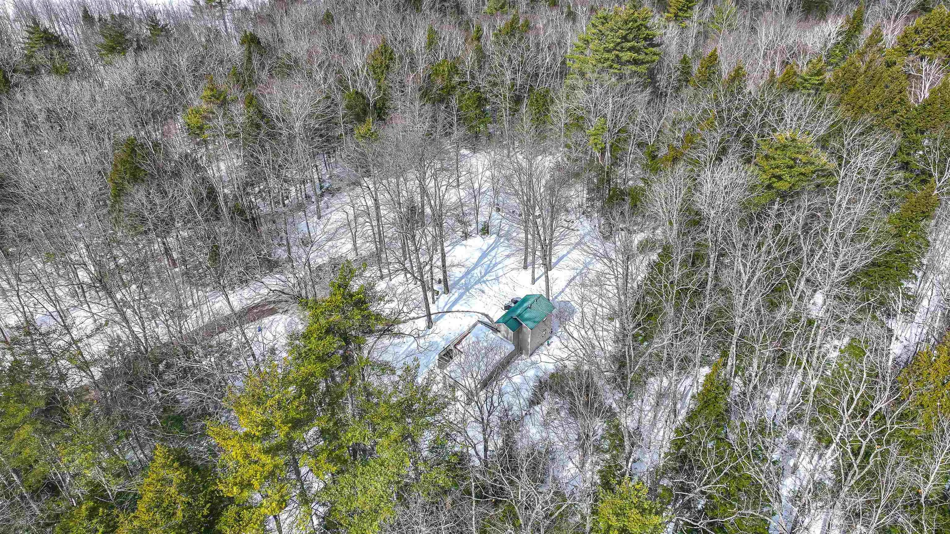 270 Bog Pond Road Fryeburg ME 04037