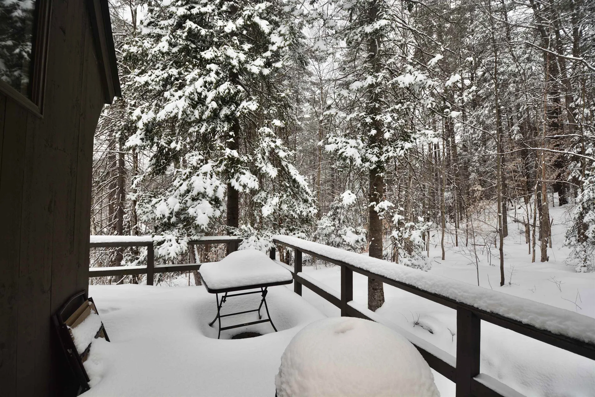 650 Marmot Lane Grantham NH 03753