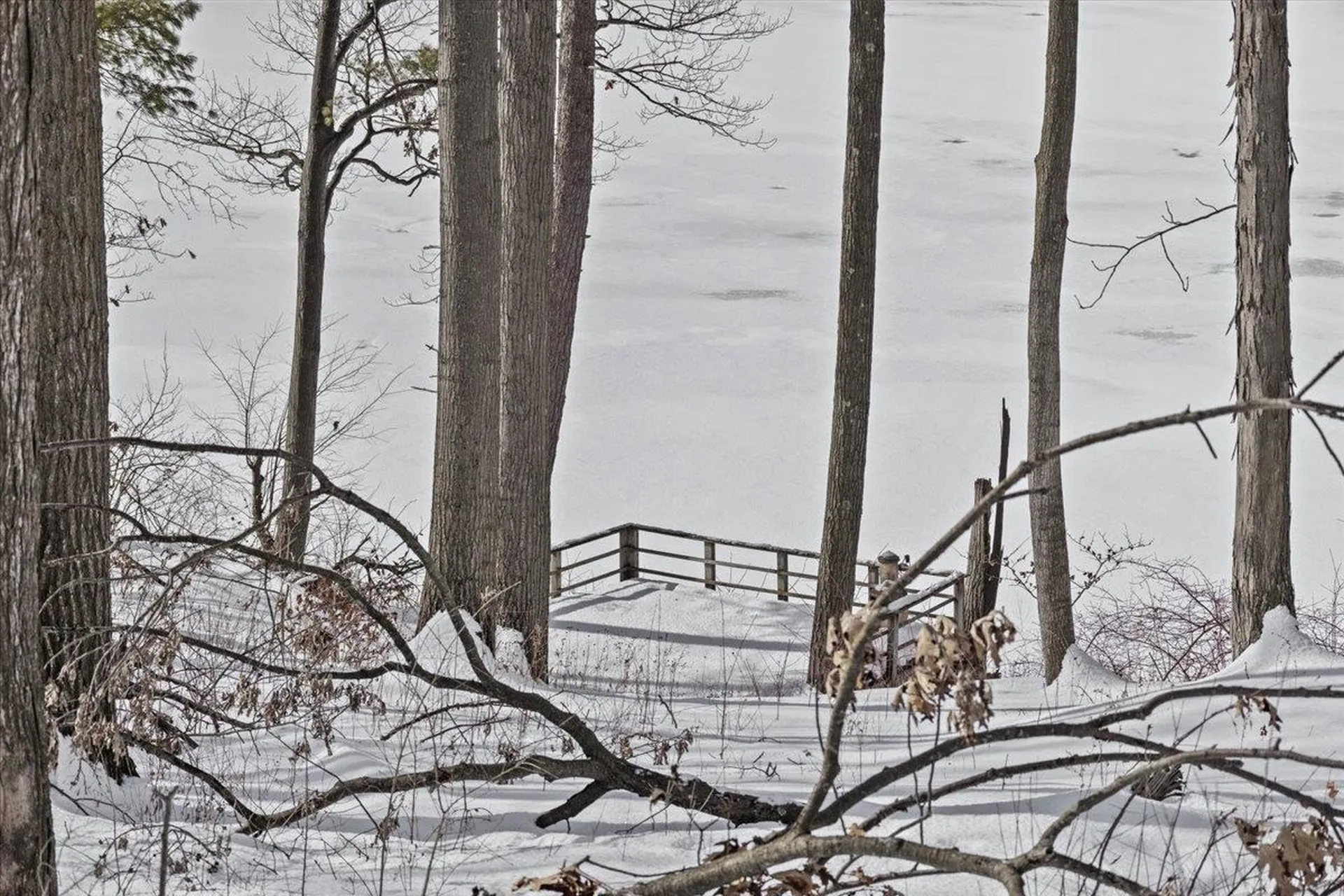 364 Delong Lane Shoreham VT 05770