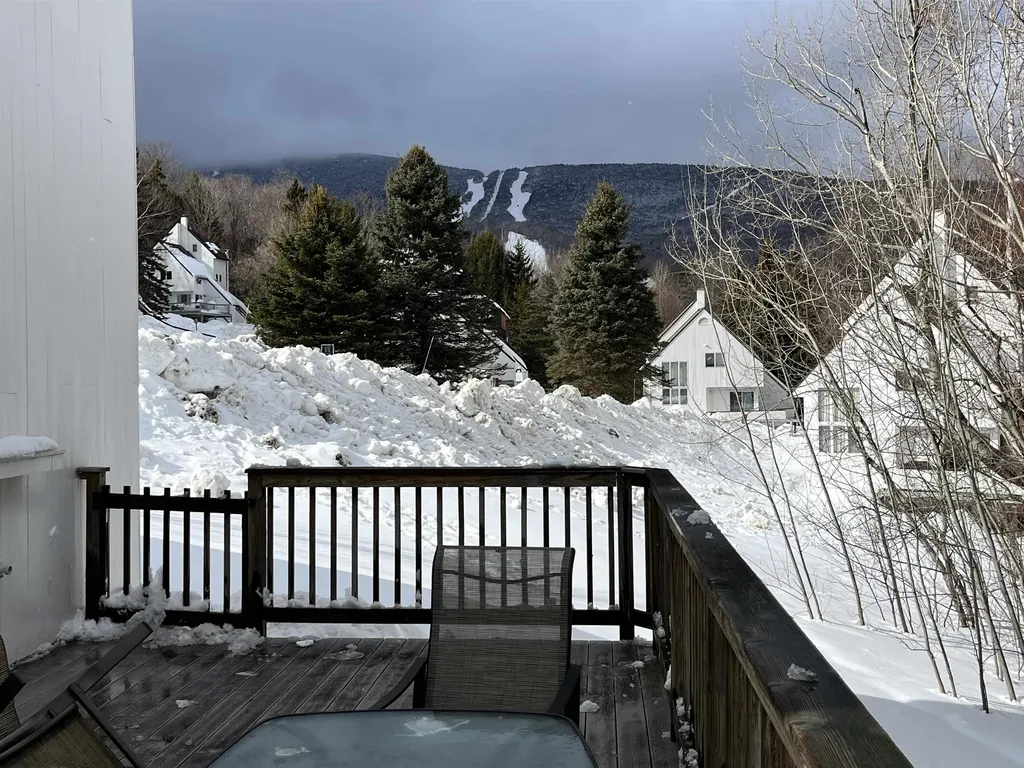 104 Spring Fling Road Warren VT 05674