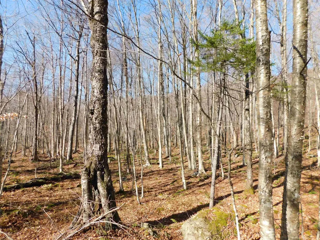 00 Highland Drive Montgomery VT 05471