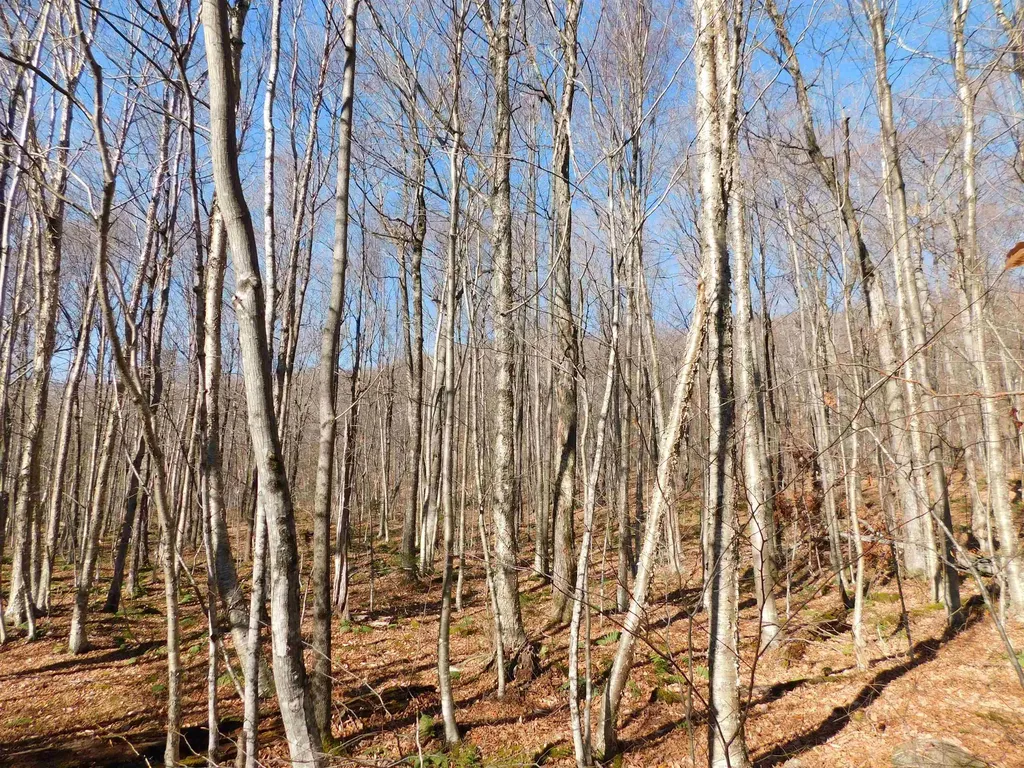 00 Highland Drive Montgomery VT 05471