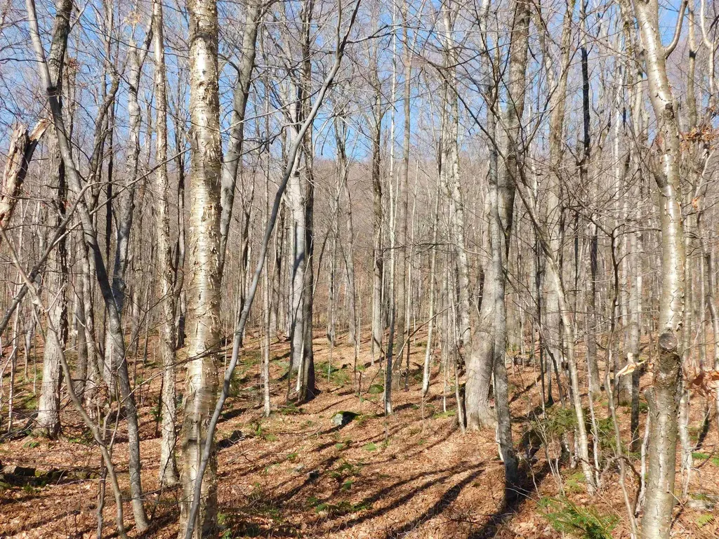 00 Highland Drive Montgomery VT 05471