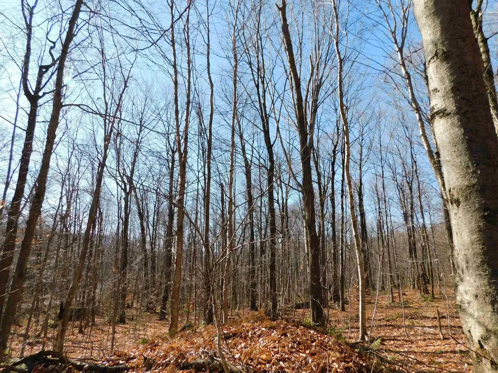 00 Highland Drive Montgomery VT 05471