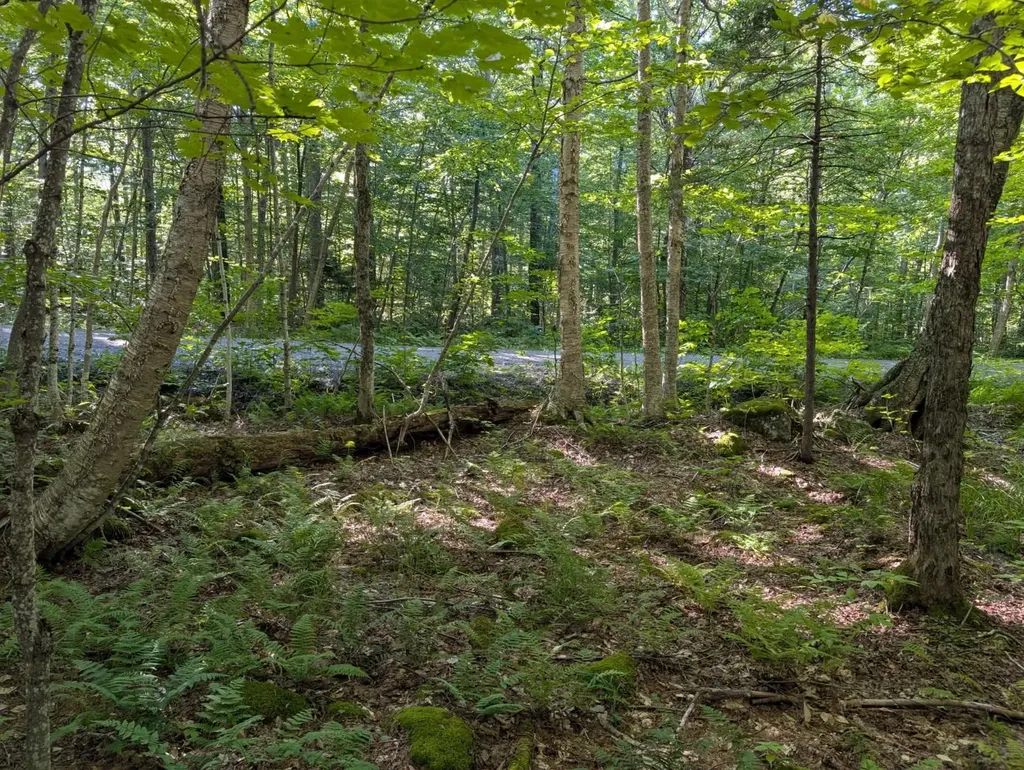 00 Highland Drive Montgomery VT 05471