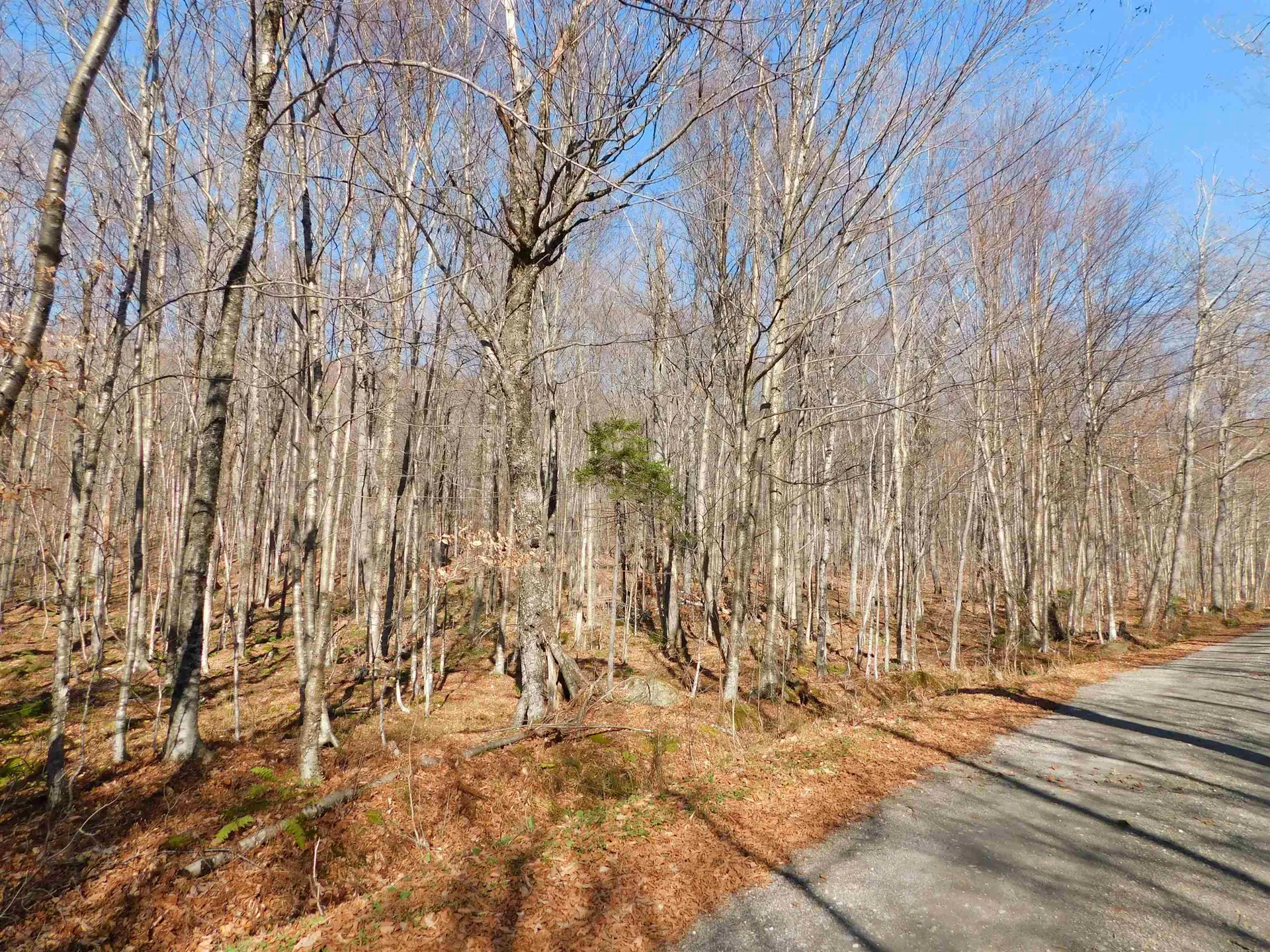 00 Highland Drive Montgomery VT 05471