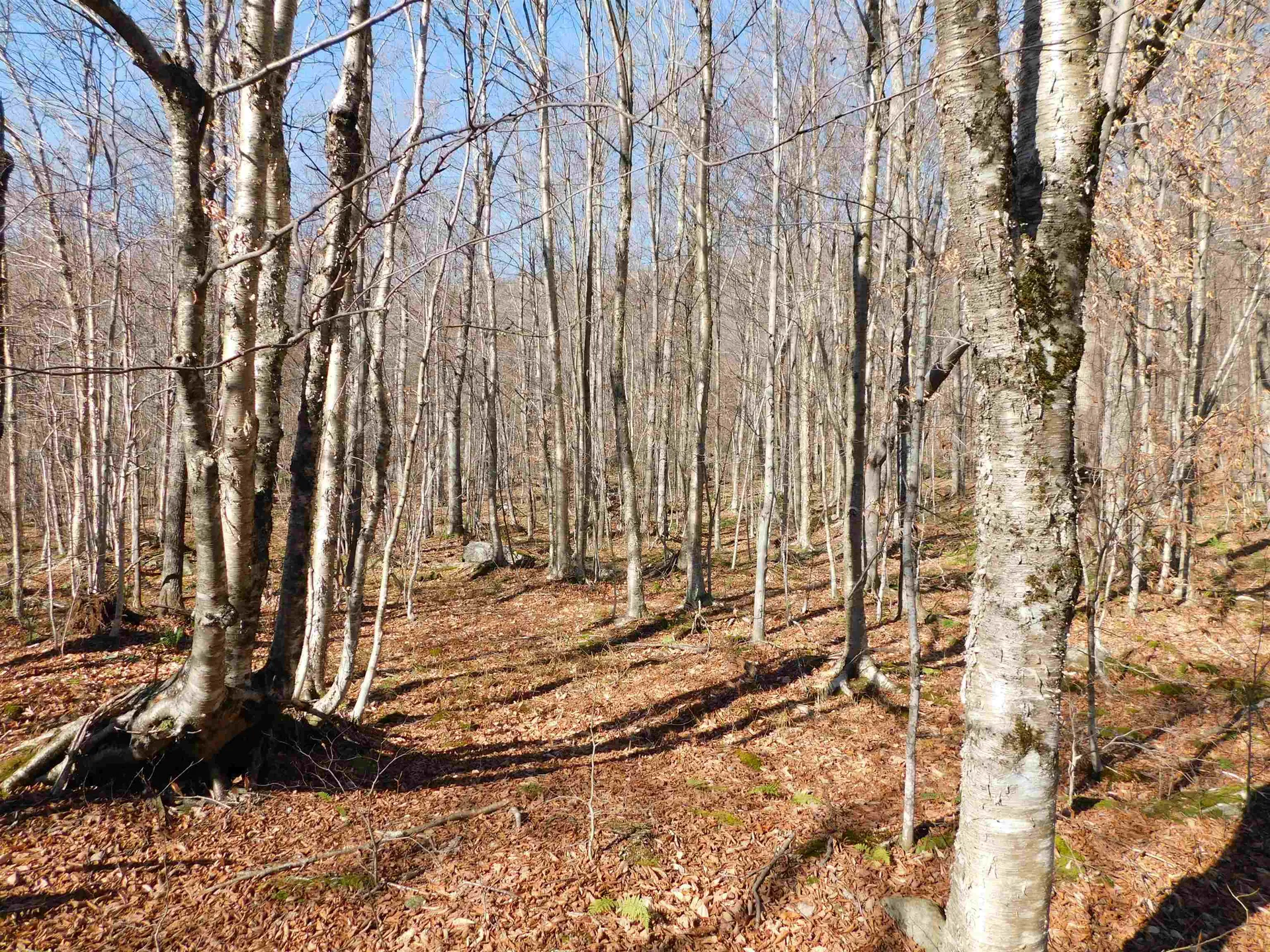 00 Highland Drive Montgomery VT 05471