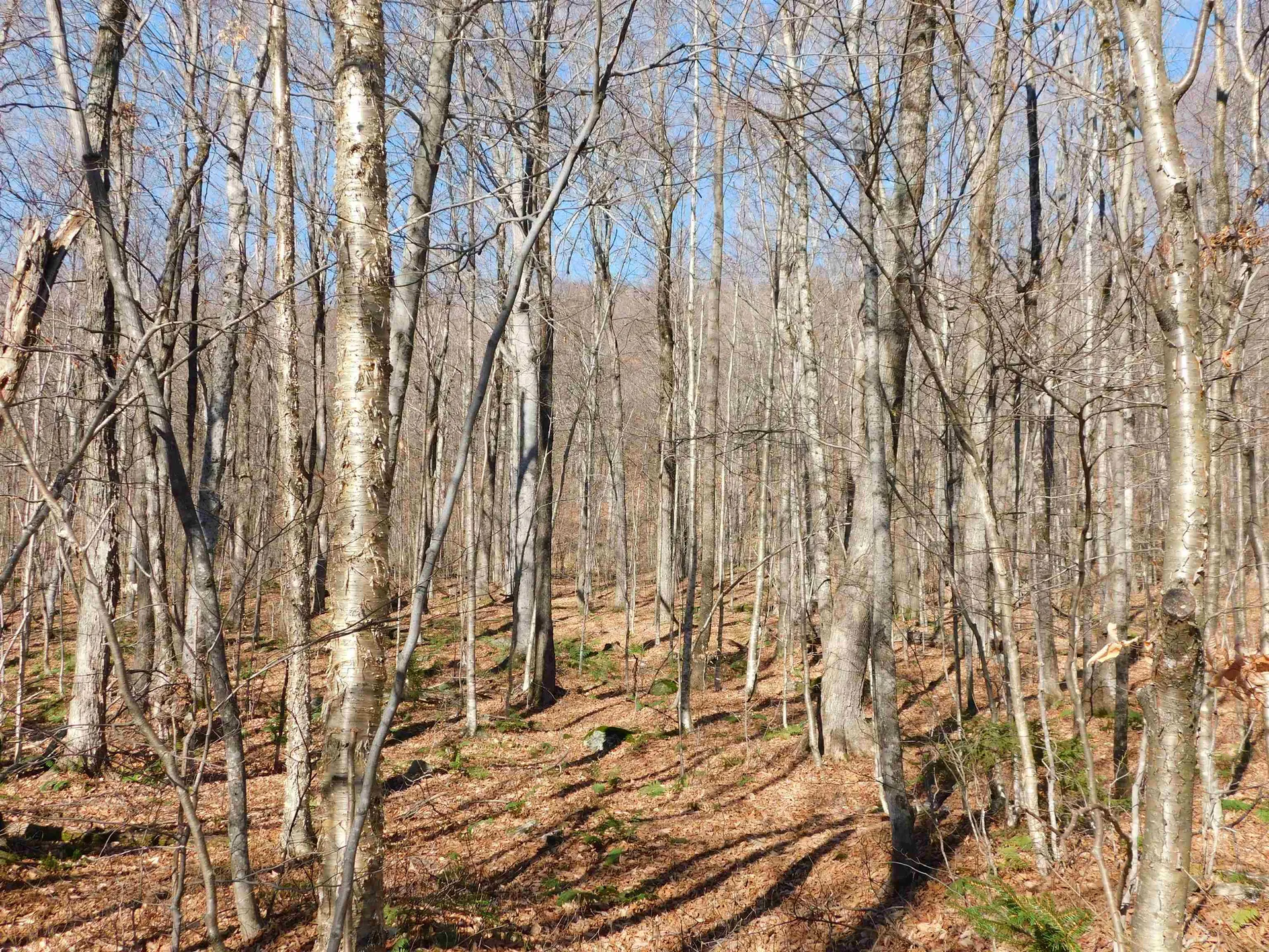 00 Highland Drive Montgomery VT 05471