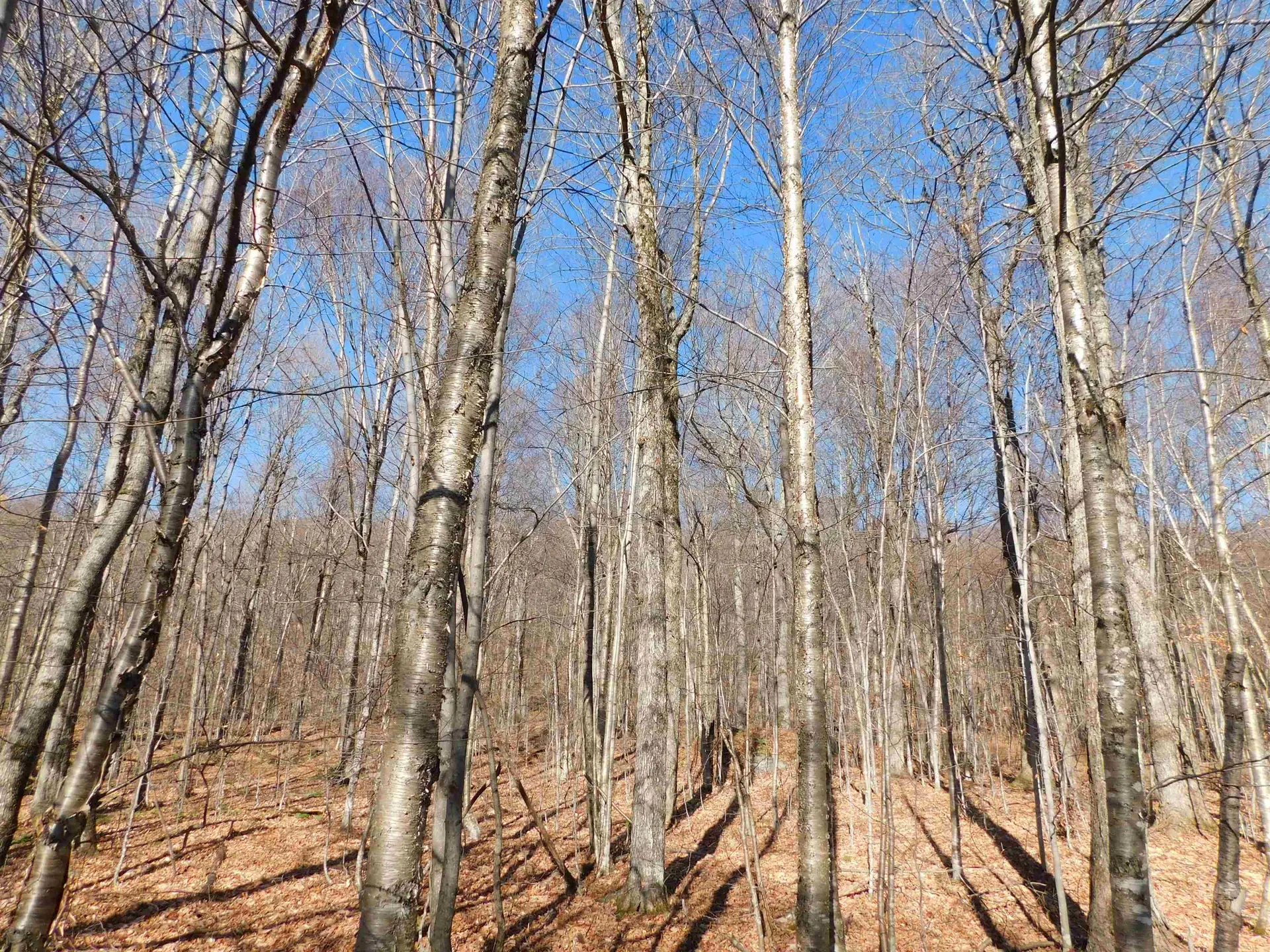 00 Highland Drive Montgomery VT 05471