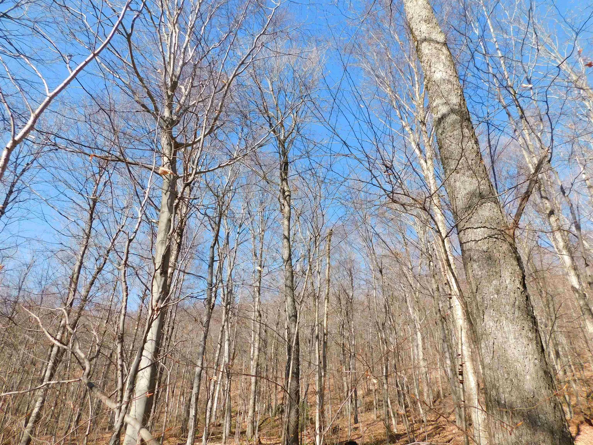 00 Highland Drive Montgomery VT 05471