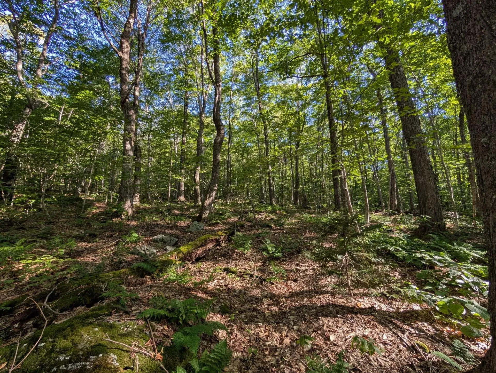 00 Highland Drive Montgomery VT 05471