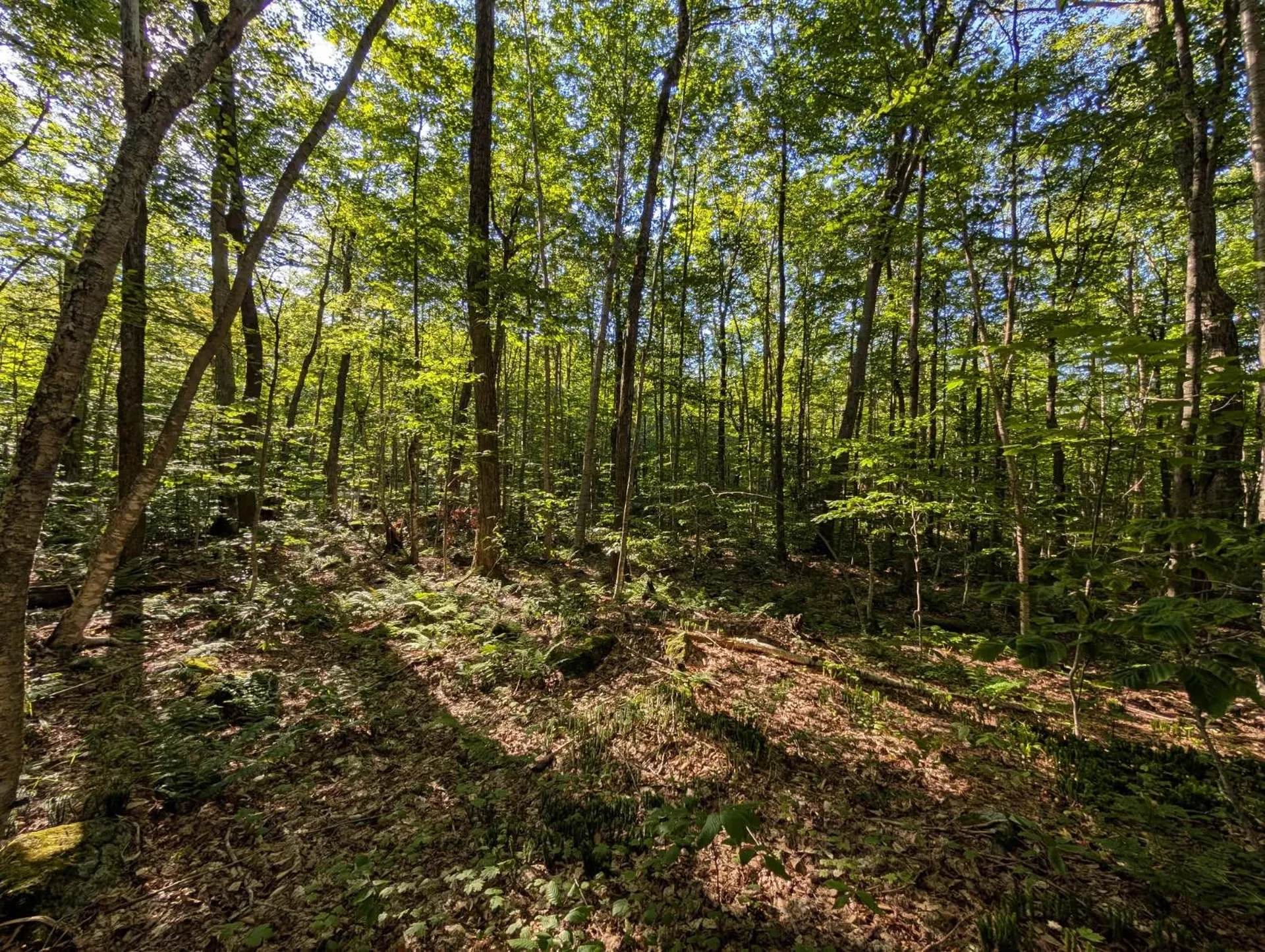 00 Highland Drive Montgomery VT 05471