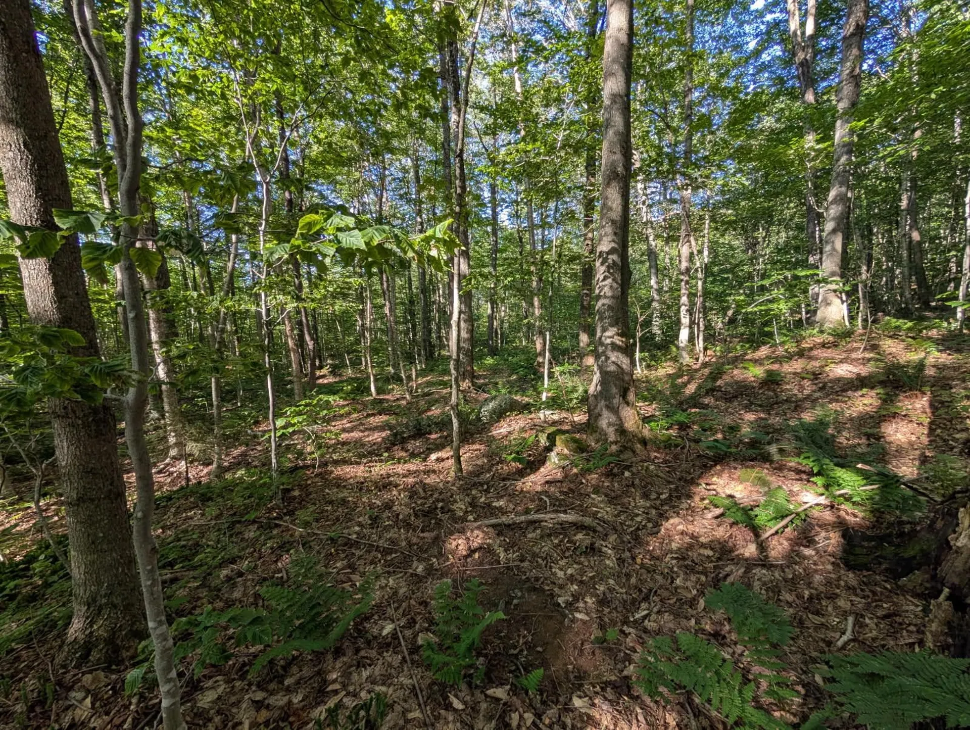 00 Highland Drive Montgomery VT 05471