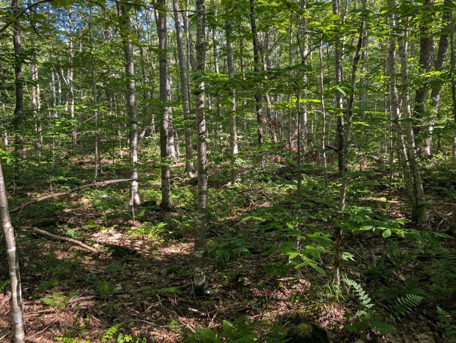 00 Highland Drive Montgomery VT 05471