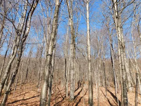 00 Highland Drive Montgomery VT 05471