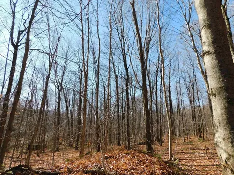 00 Highland Drive Montgomery VT 05471