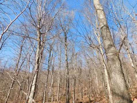 00 Highland Drive Montgomery VT 05471