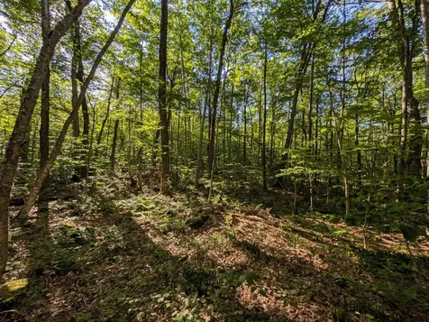 00 Highland Drive Montgomery VT 05471