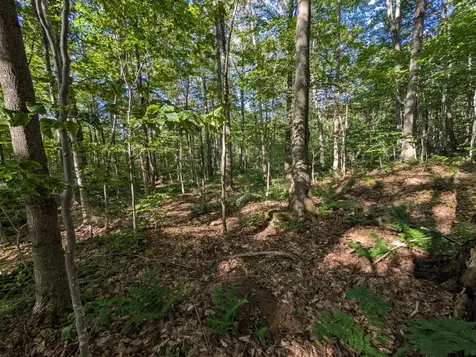 00 Highland Drive Montgomery VT 05471