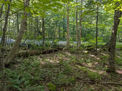 00 Highland Drive Montgomery VT 05471