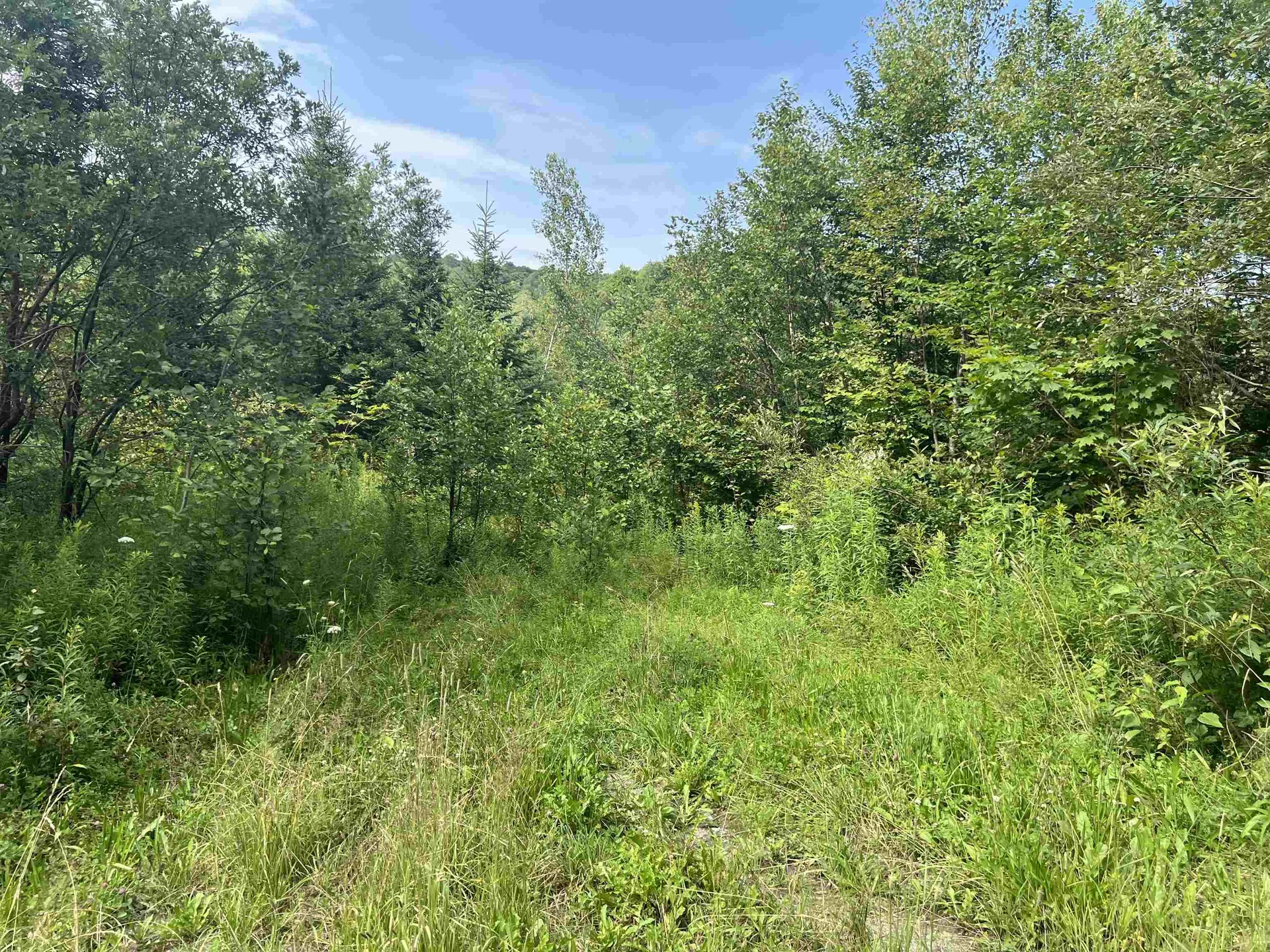 0 Hartwell Pond Road Albany VT 05875