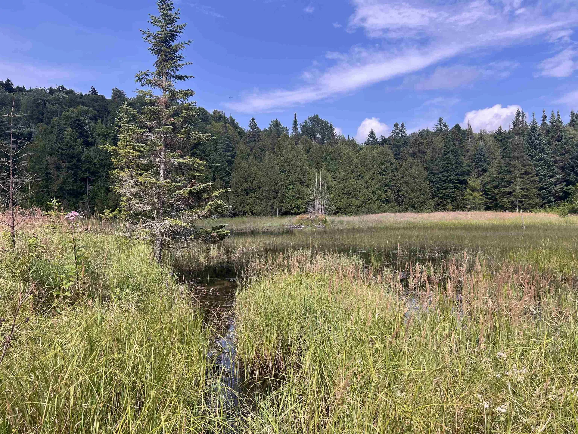 0 Hartwell Pond Road Albany VT 05875