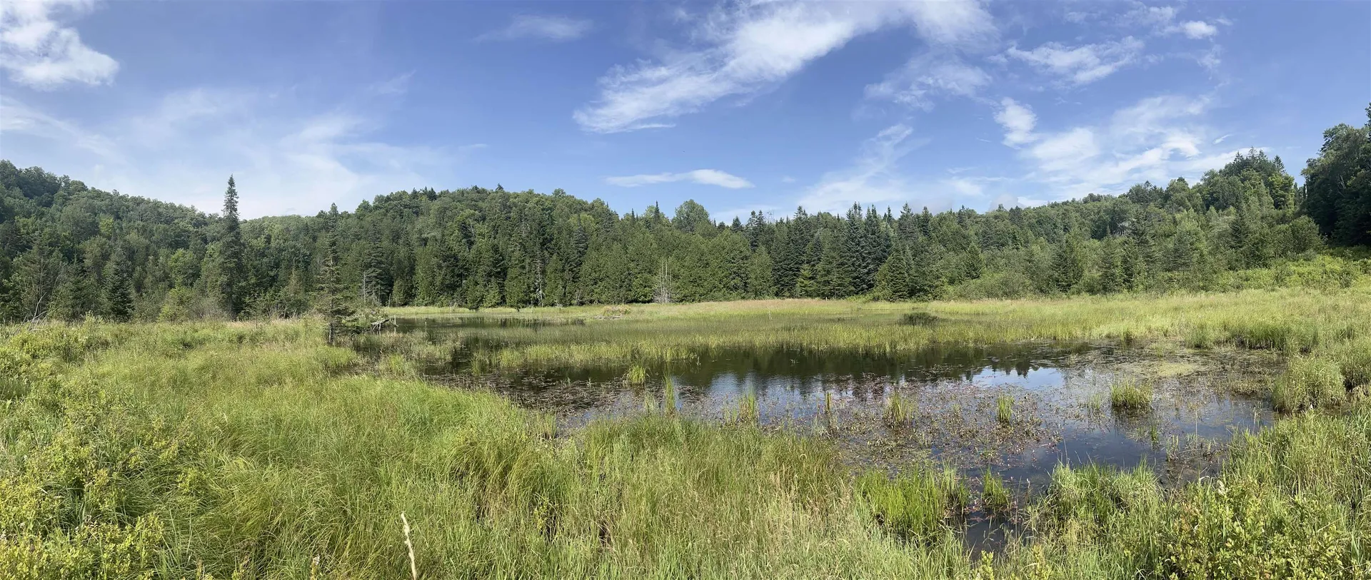 0 Hartwell Pond Road Albany VT 05875