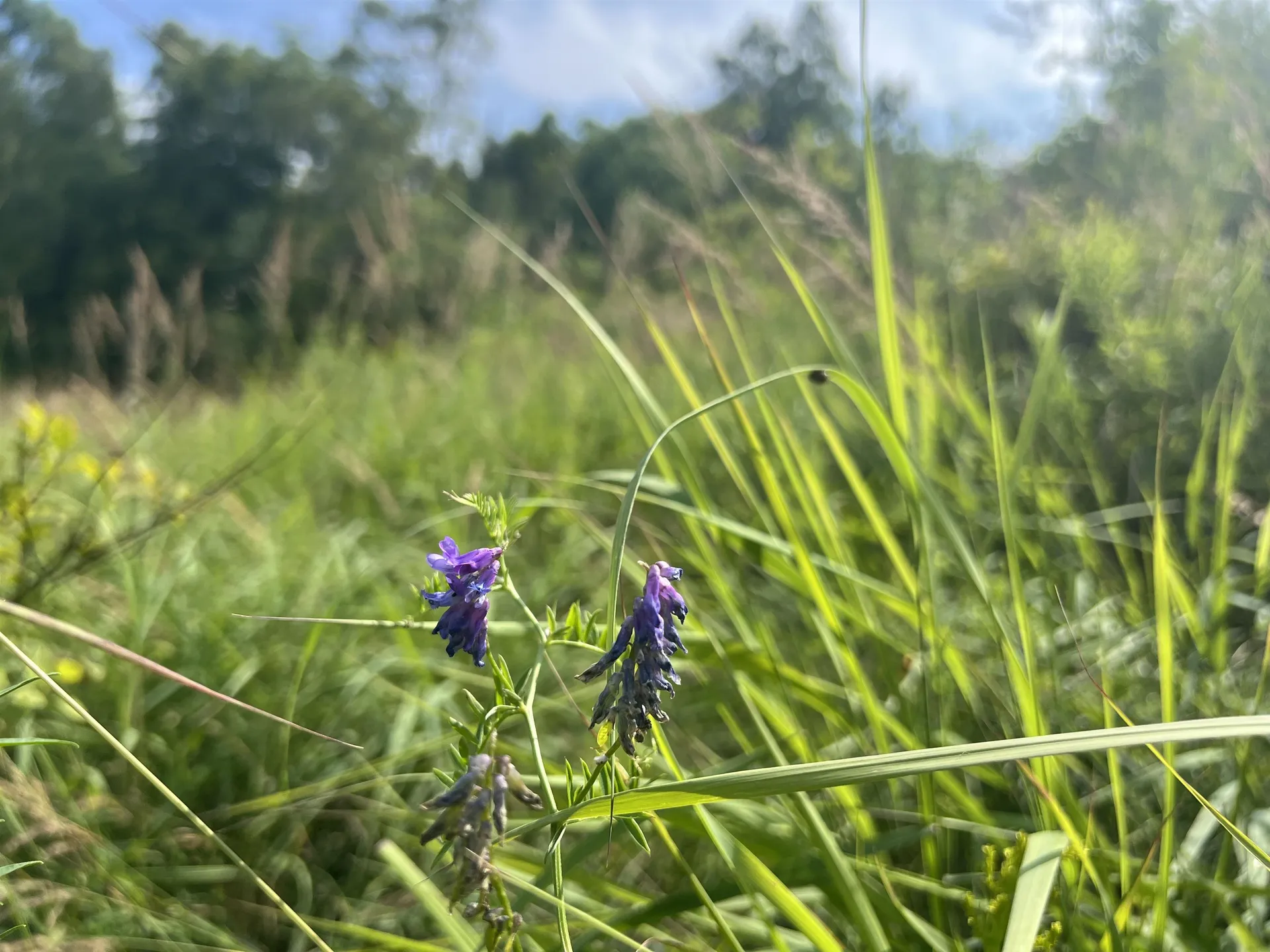 0 Hartwell Pond Road Albany VT 05875