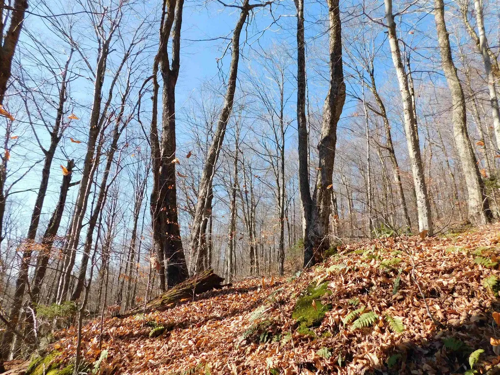 00 Highland Drive Montgomery VT 05471