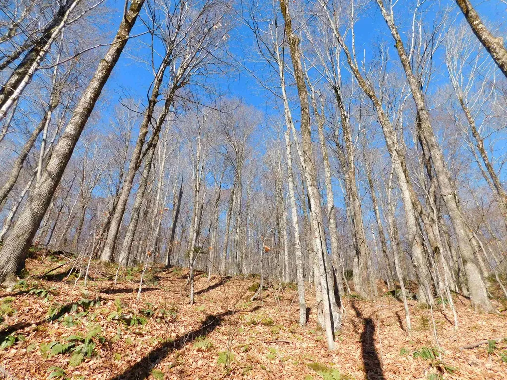 00 Highland Drive Montgomery VT 05471