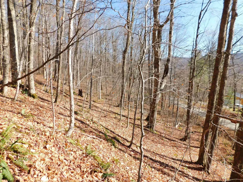00 Highland Drive Montgomery VT 05471