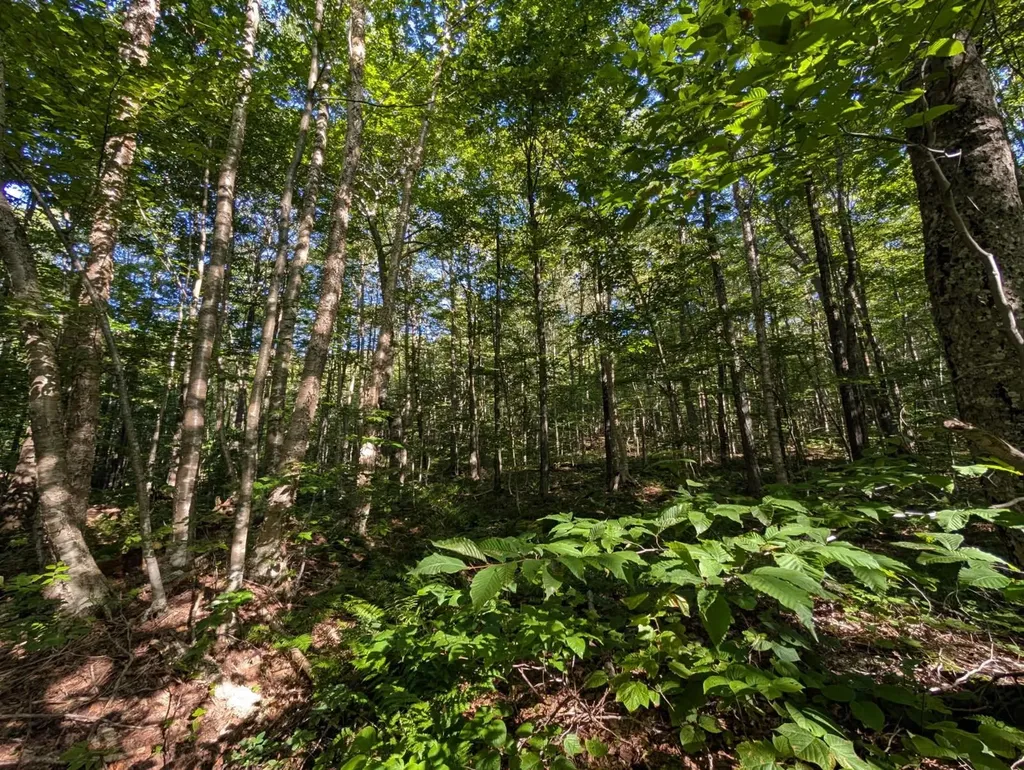 00 Highland Drive Montgomery VT 05471