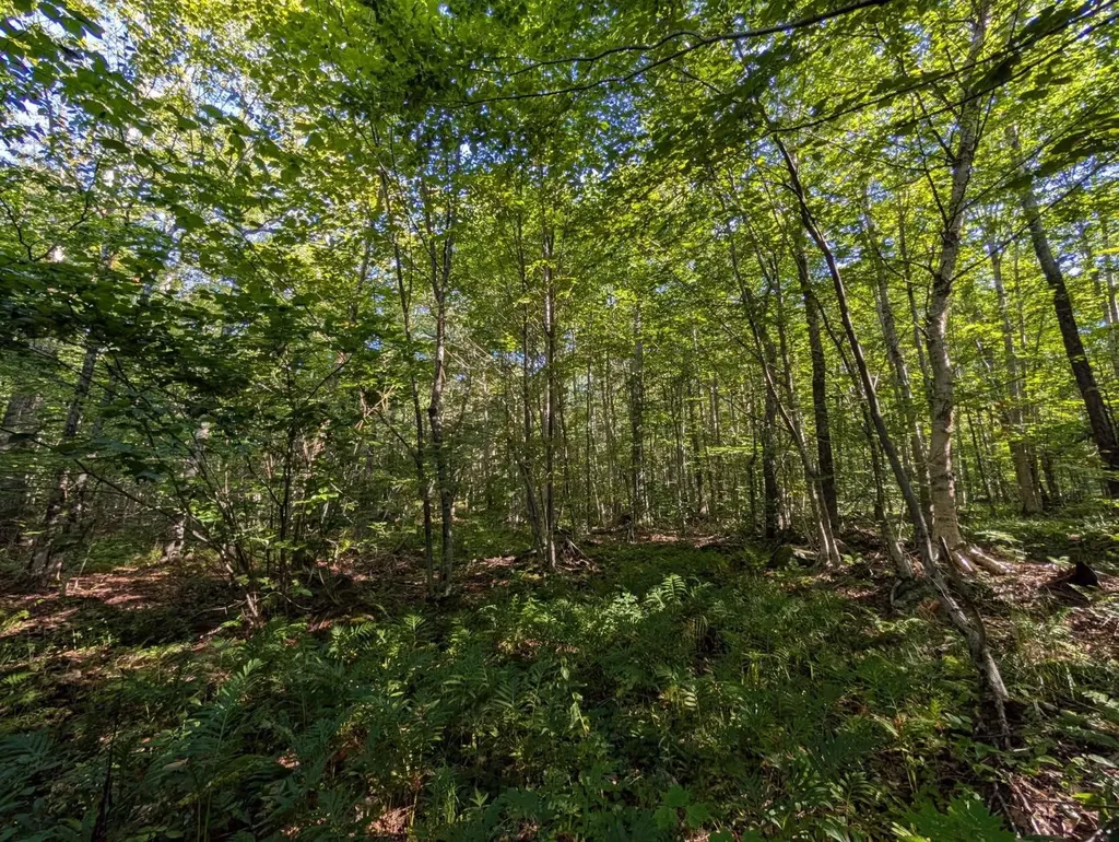 00 Highland Drive Montgomery VT 05471