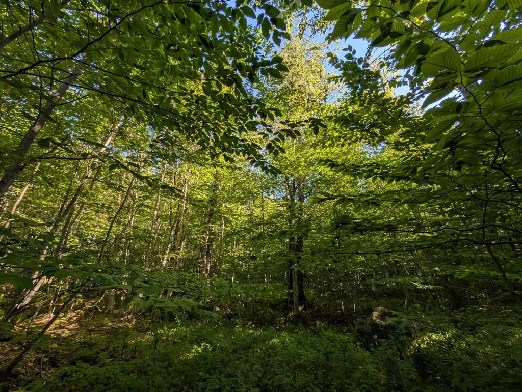 00 Highland Drive Montgomery VT 05471