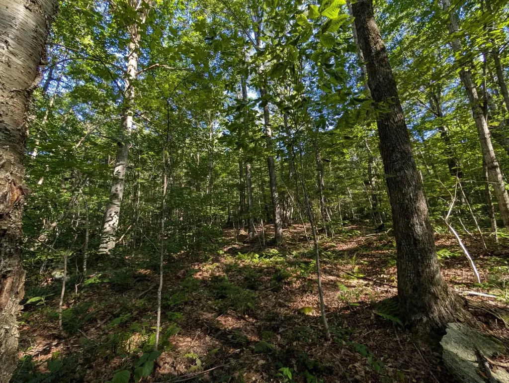 00 Highland Drive Montgomery VT 05471