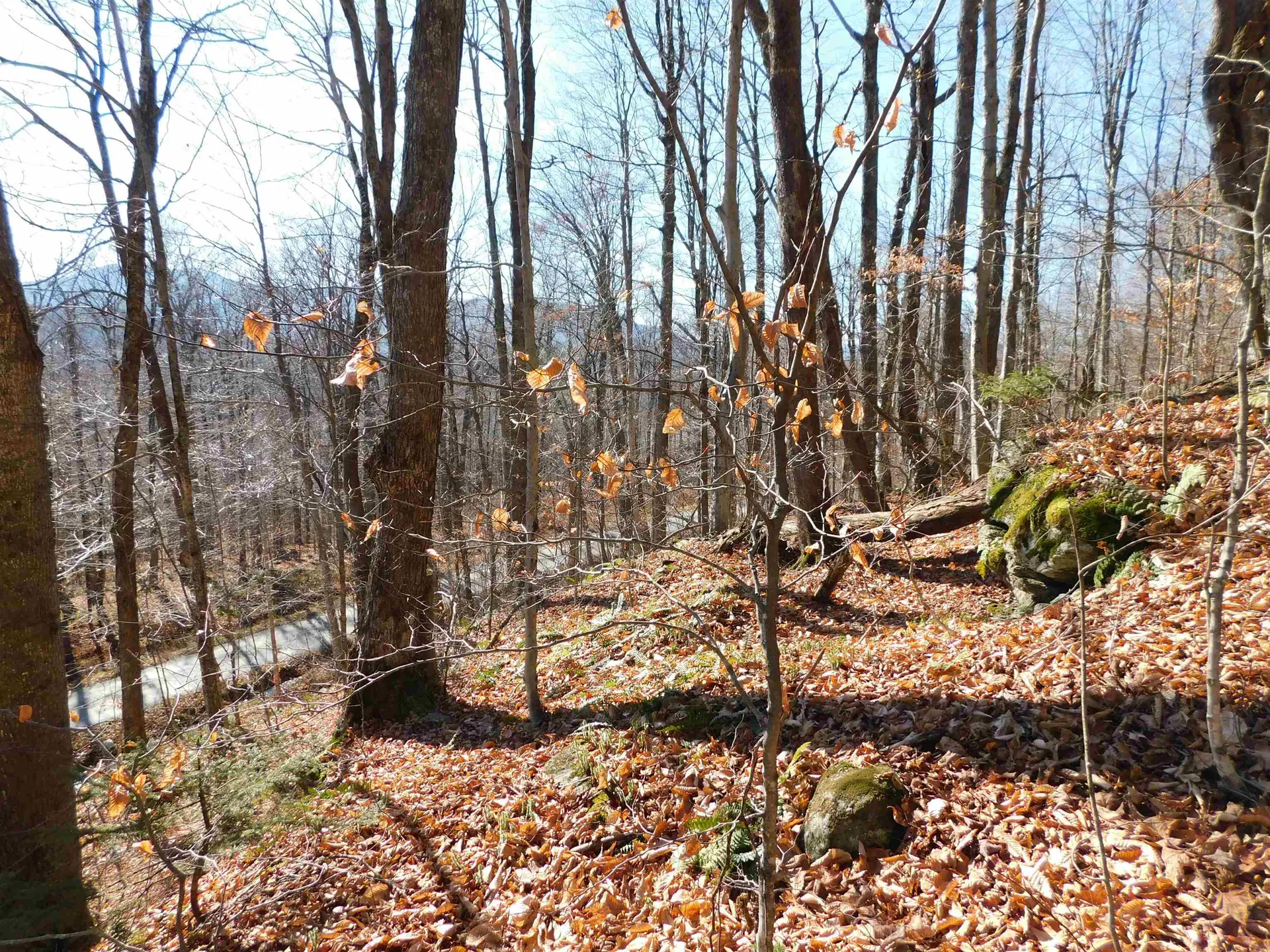 00 Highland Drive Montgomery VT 05471