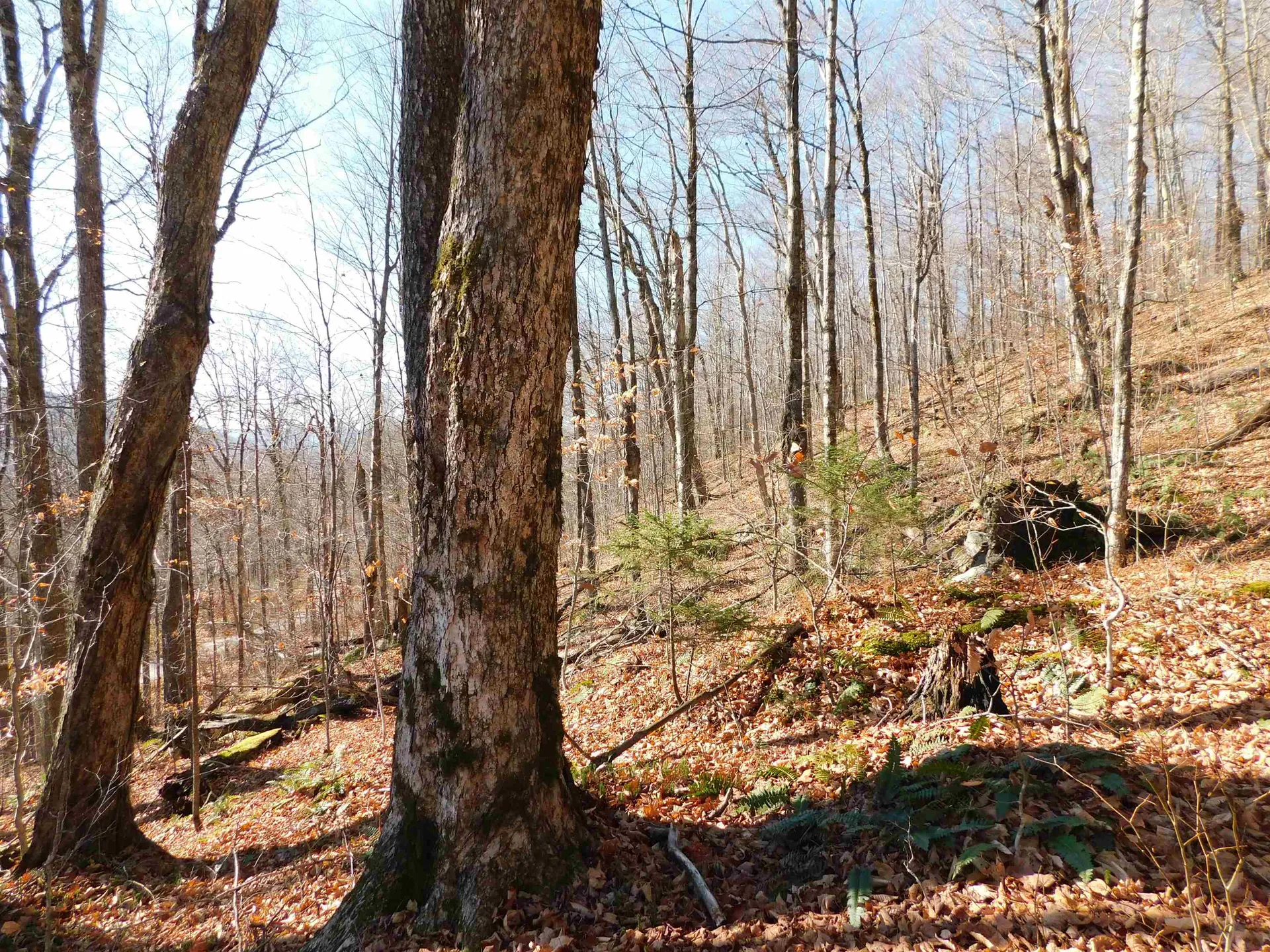 00 Highland Drive Montgomery VT 05471