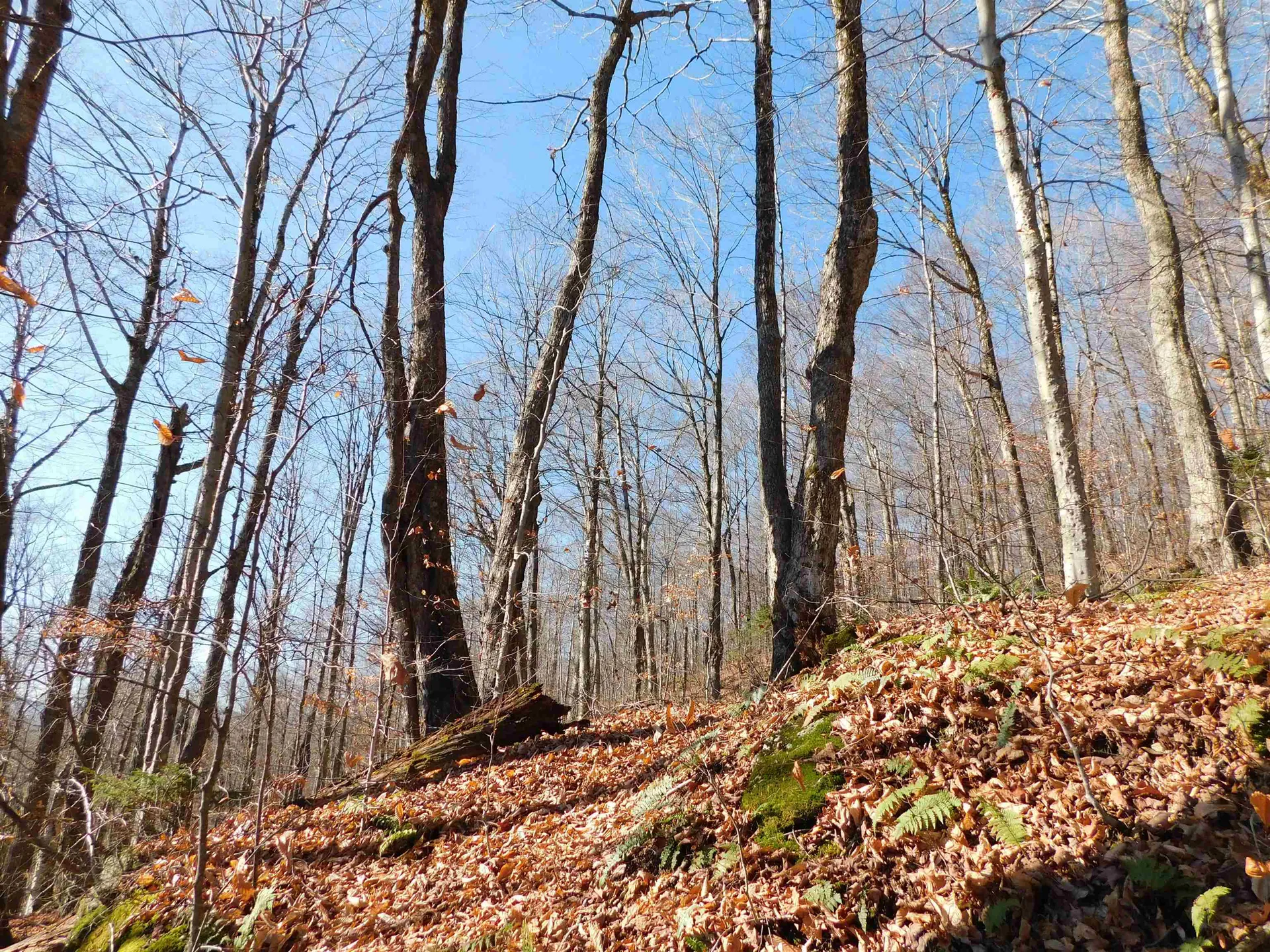 00 Highland Drive Montgomery VT 05471