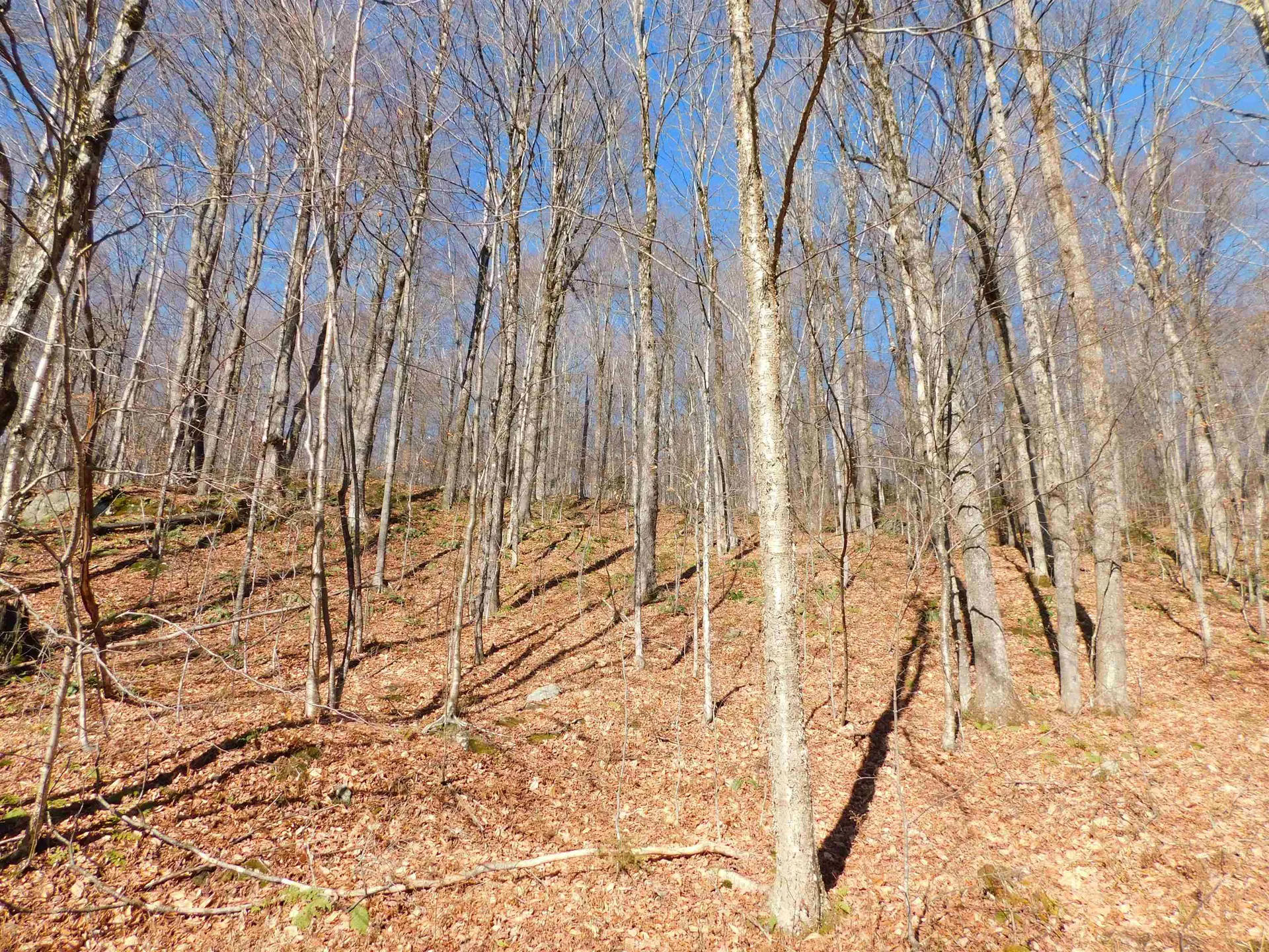 00 Highland Drive Montgomery VT 05471